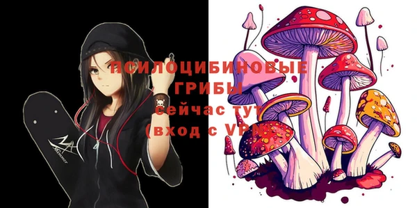 прущие грибы Навашино