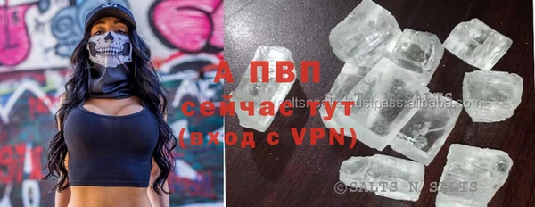 прущие грибы Навашино