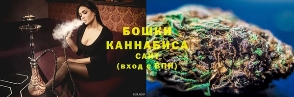 индика Ачинск
