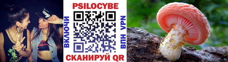 Галлюциногенные грибы GOLDEN TEACHER  как найти   Райчихинск 